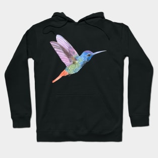 Colorful Colibri Hoodie